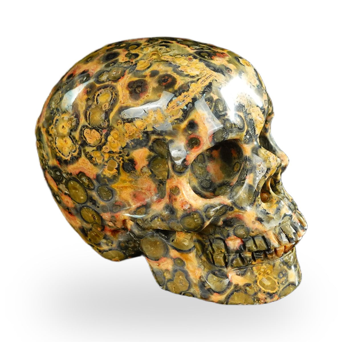 Red Leopard Skin Jasper crystal skull 2.2" SKH20LS16 photo 3