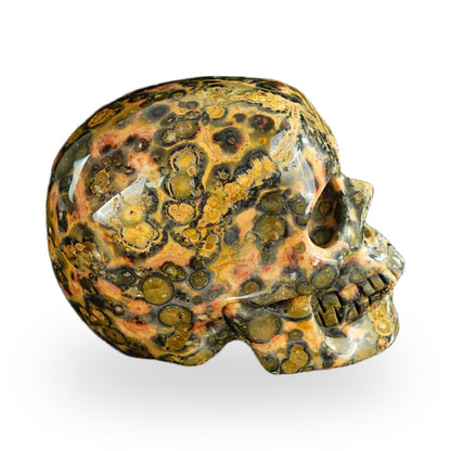 Red Leopard Skin Jasper crystal skull 2.2" SKH20LS16 photo 4