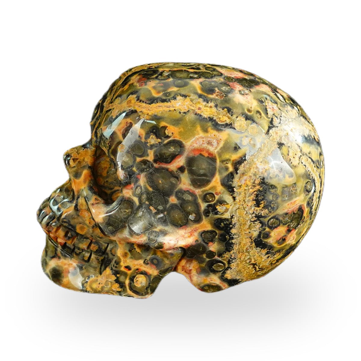 Red Leopard Skin Jasper crystal skull 2.2" SKH20LS16 photo 6