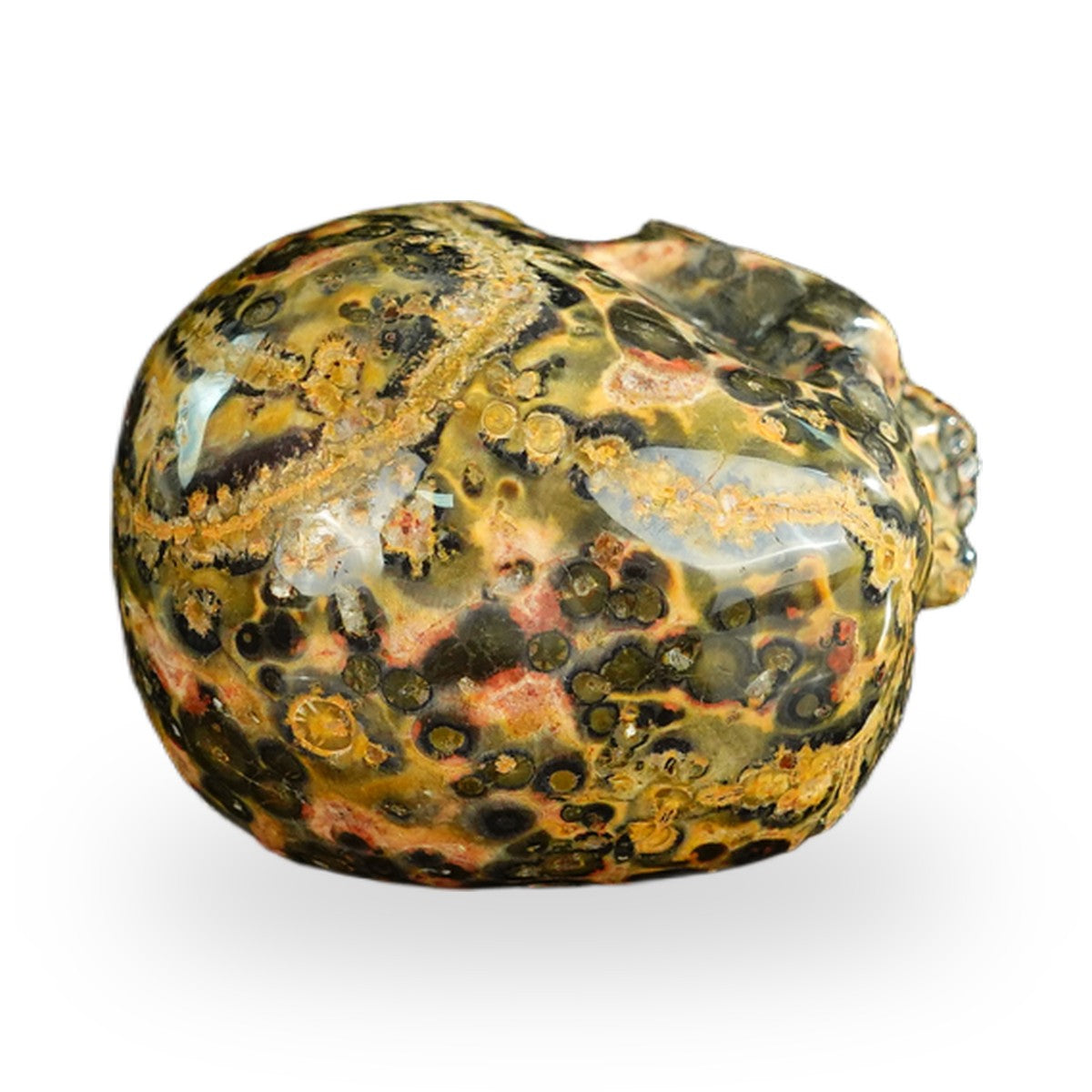 Red Leopard Skin Jasper crystal skull 2.2" SKH20LS16 photo 8