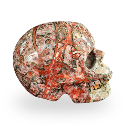 Red Leopard Skin Jasper crystal skull 2.2" SKH20LS17 photo 4