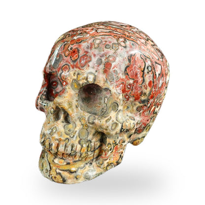 Red Leopard Skin Jasper crystal skull 2.2" SKH20LS17 photo 7