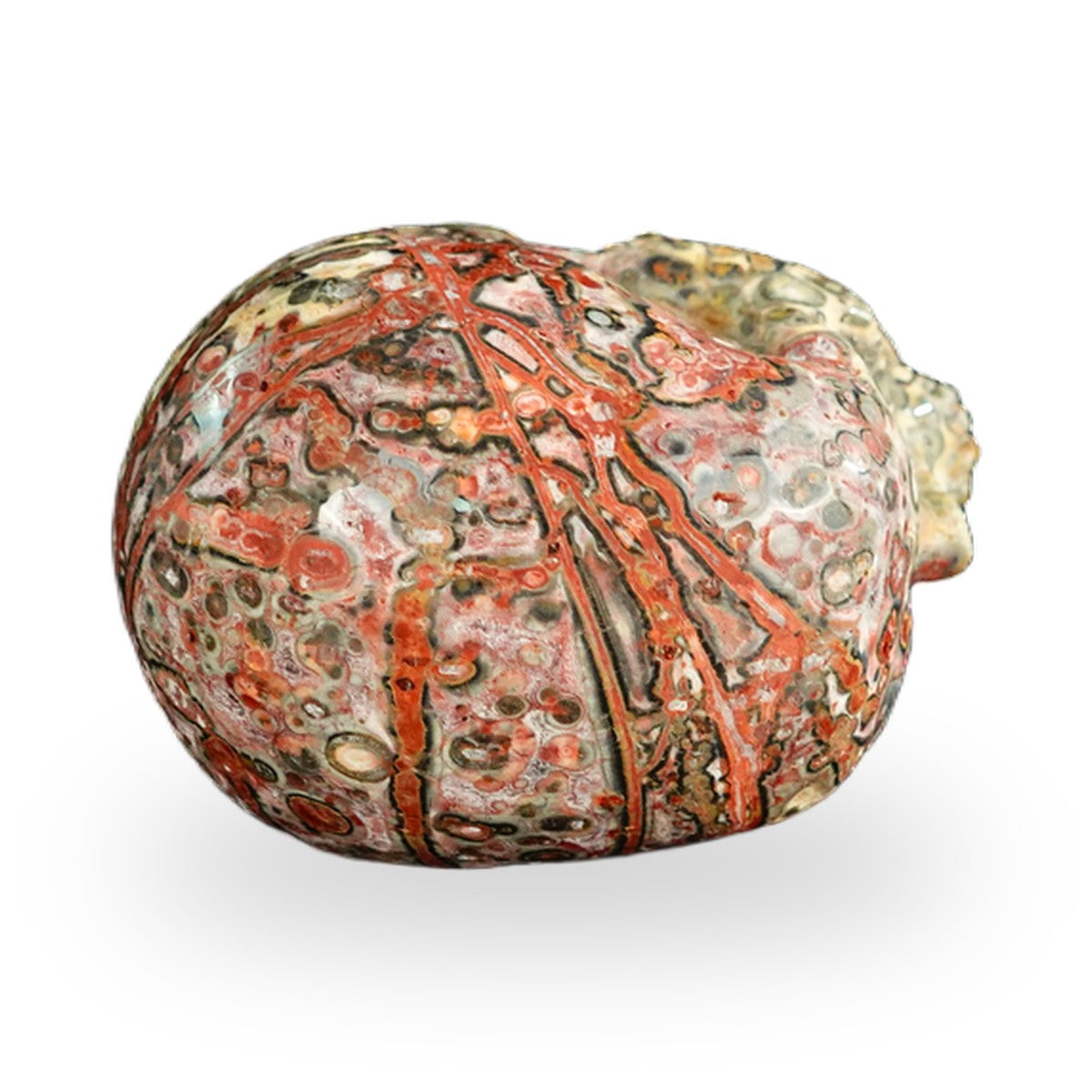 Red Leopard Skin Jasper crystal skull 2.2" SKH20LS17 photo 8