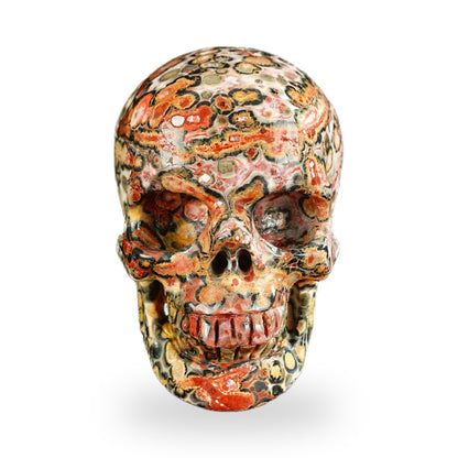 Red Leopard Skin Jasper crystal skull 2.2" SKH20LS18 photo 1