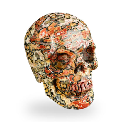 Red Leopard Skin Jasper crystal skull 2.2" SKH20LS18 photo 2
