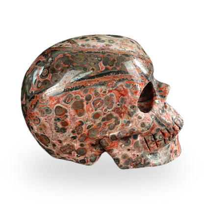 Red Leopard Skin Jasper crystal skull 2.2" SKH20LS19 photo 4