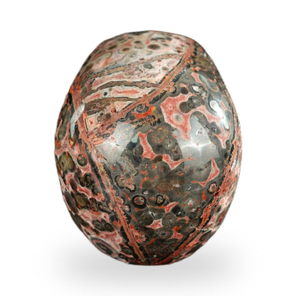 Red Leopard Skin Jasper crystal skull 2.2" SKH20LS19 photo 5