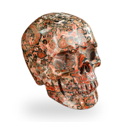 Red Leopard Skin Jasper crystal skull 2.2" SKH20LS20 photo 2