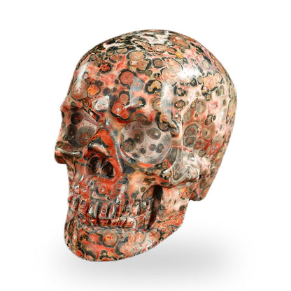 Red Leopard Skin Jasper crystal skull 2.2" SKH20LS20 photo 6