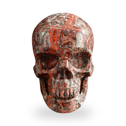 Red Leopard Skin Jasper crystal skull 3" SKH30LS01 hand carved gemstone