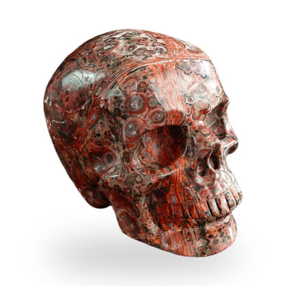 Red Leopard Skin Jasper crystal skull 3" SKH30LS01 view 3