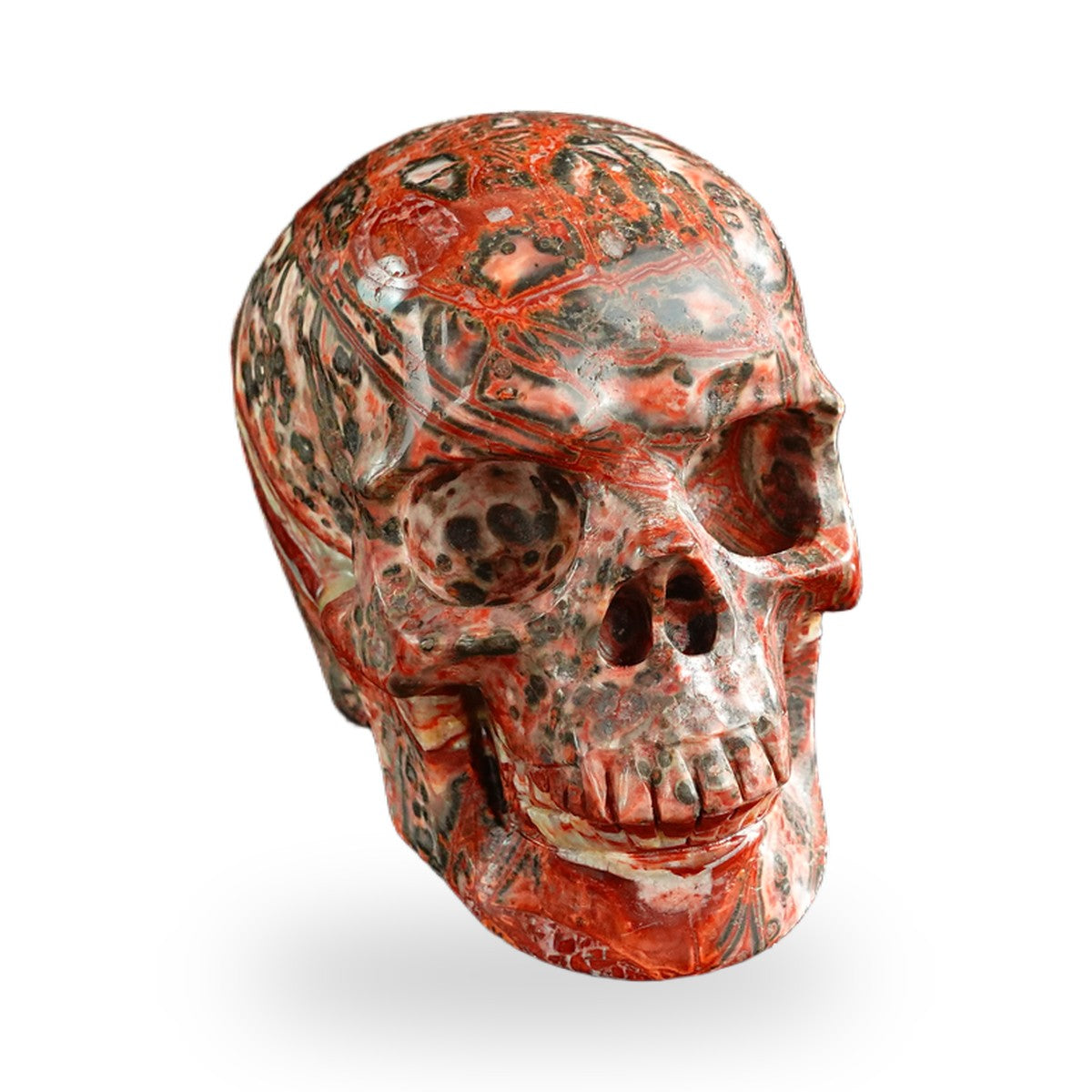 Red Leopard Skin Jasper crystal skull 3" SKH30LS02 photo 3