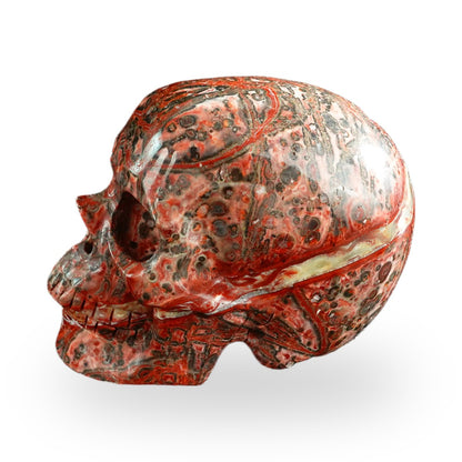 Red Leopard Skin Jasper crystal skull 3" SKH30LS02 photo 6