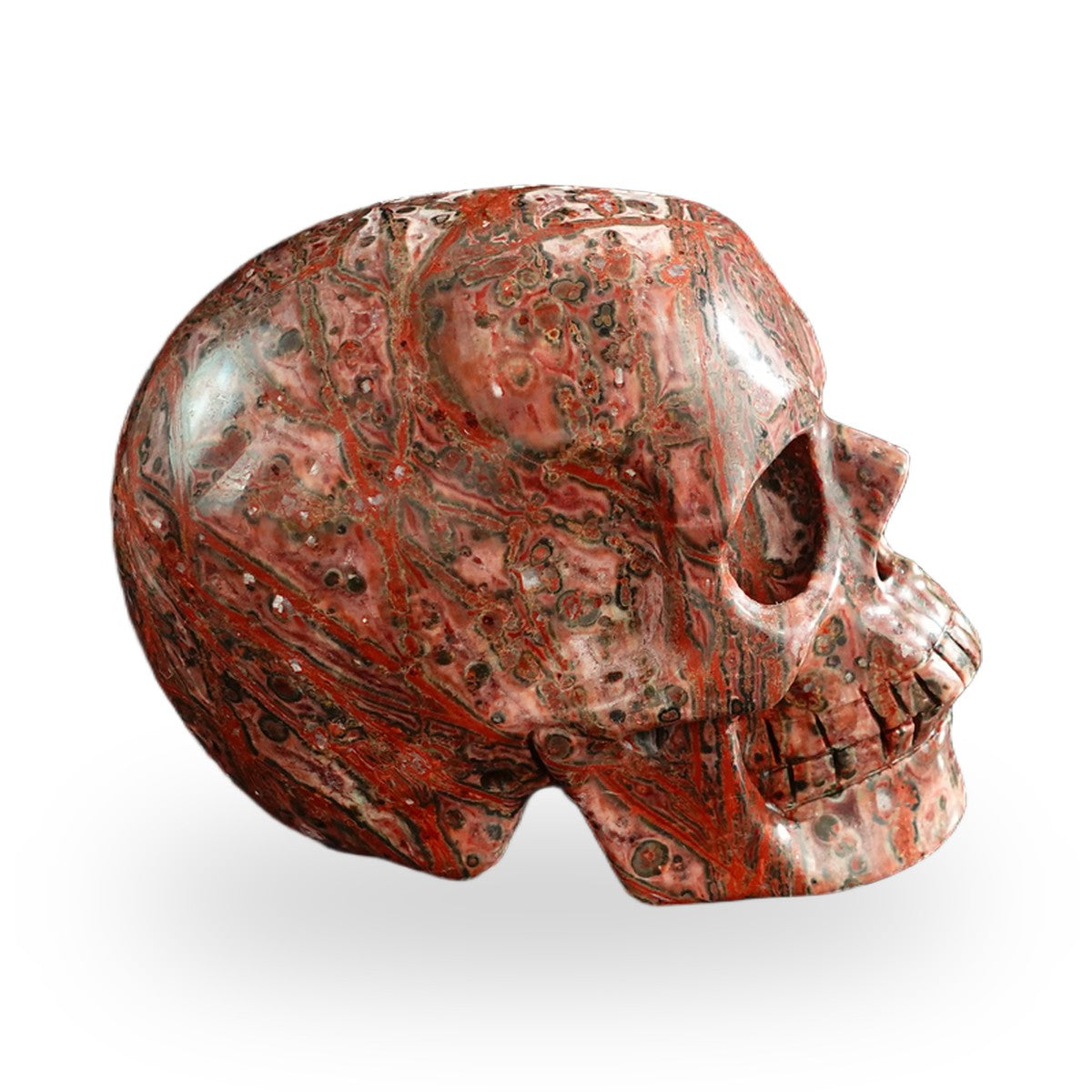Red Leopard Skin Jasper crystal skull 3" SKH30LS03 photo 5