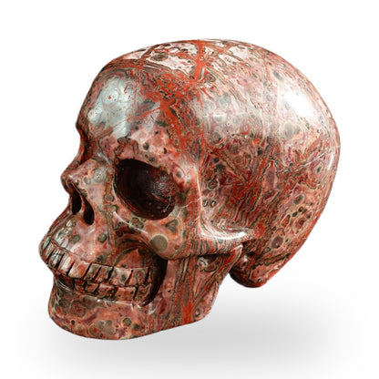 Red Leopard Skin Jasper crystal skull 3" SKH30LS03 photo 7