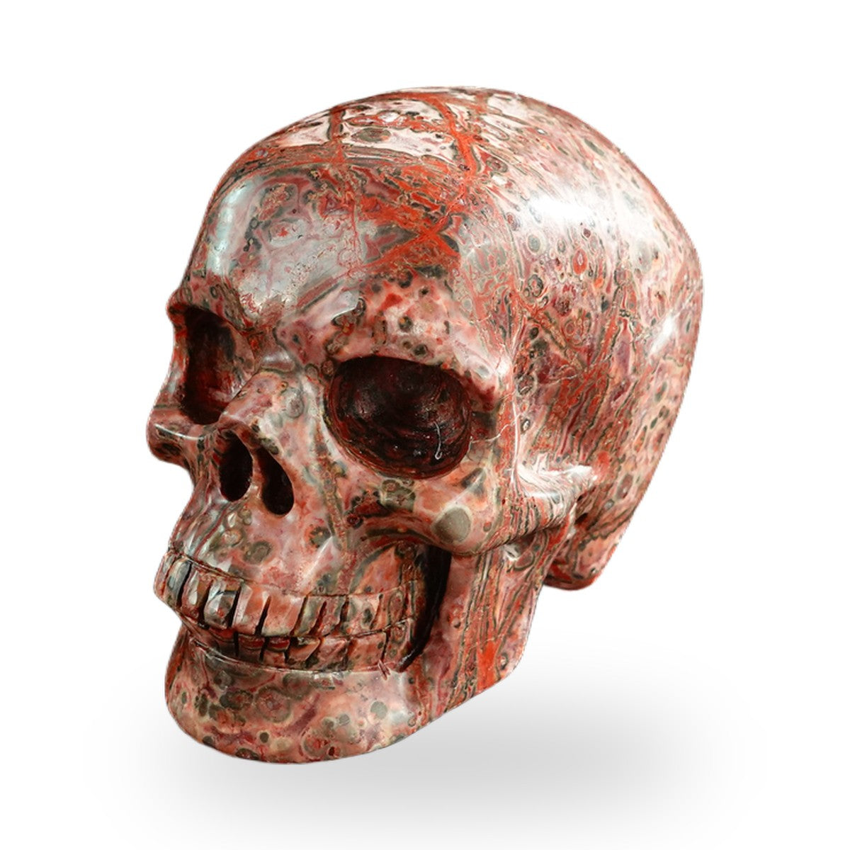 Red Leopard Skin Jasper crystal skull 3" SKH30LS03 photo 8
