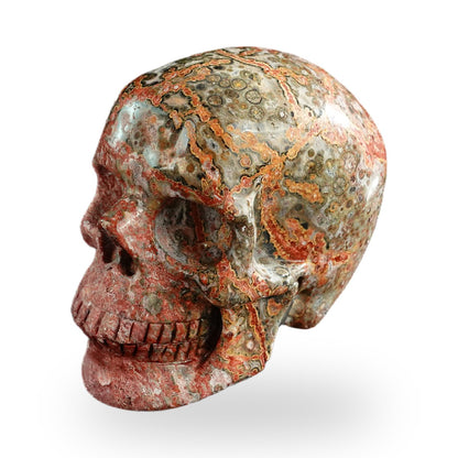 Red Leopard Skin Jasper crystal skull 3" SKH30LS04 photo 2