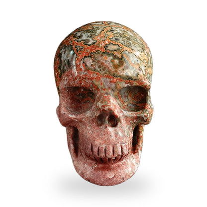 Red Leopard Skin Jasper crystal skull 3" SKH30LS04 photo 1