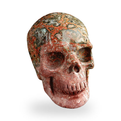 Red Leopard Skin Jasper crystal skull 3" SKH30LS04 photo 3