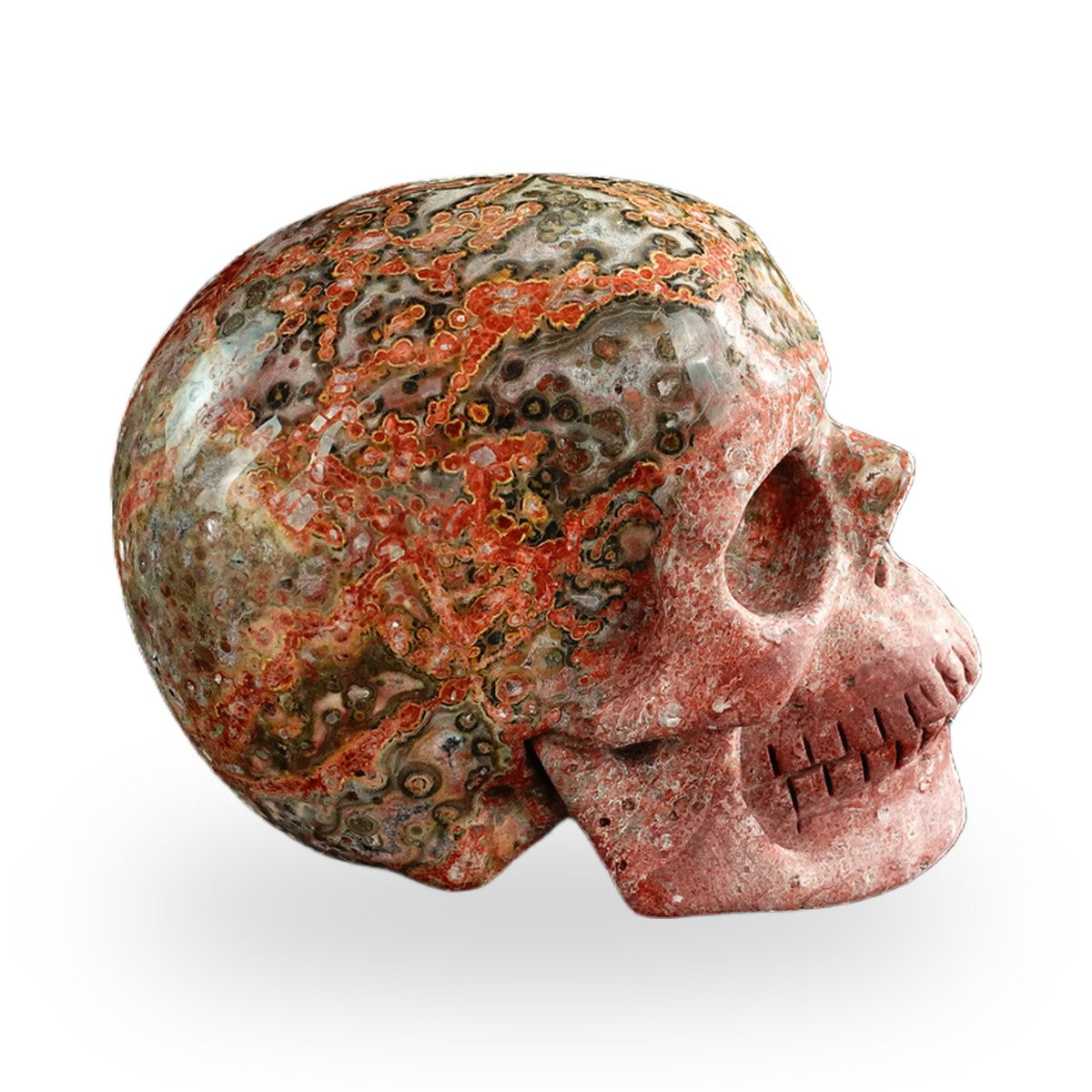 Red Leopard Skin Jasper crystal skull 3" SKH30LS04 photo 6