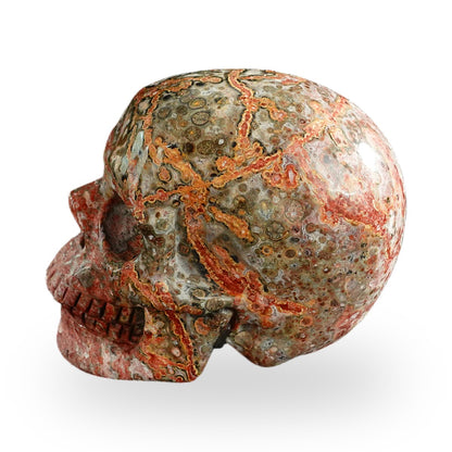 Red Leopard Skin Jasper crystal skull 3" SKH30LS04 photo 7