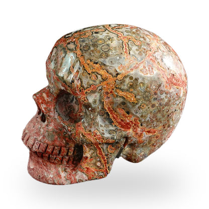 Red Leopard Skin Jasper crystal skull 3" SKH30LS04 photo 8