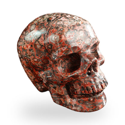 Red Leopard Skin Jasper crystal skull 3" SKH30LS05 photo 3
