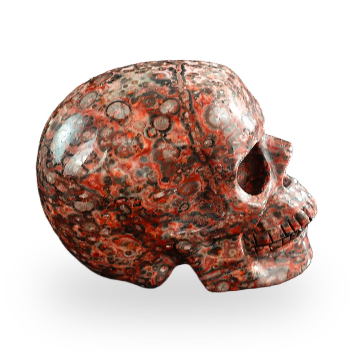 Red Leopard Skin Jasper crystal skull 3" SKH30LS05 photo 5