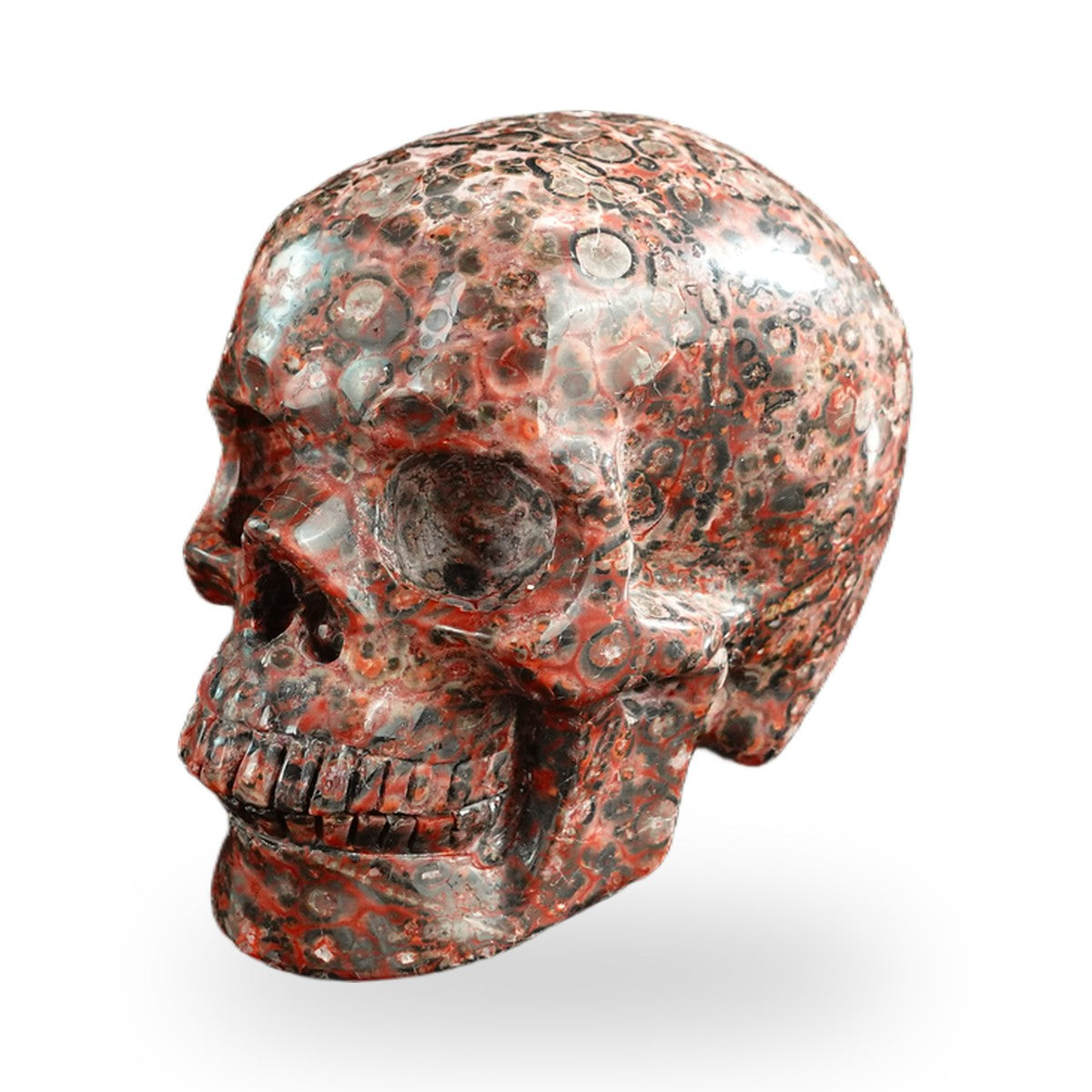 Red Leopard Skin Jasper crystal skull 3" SKH30LS05 photo 8