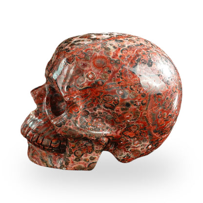 Red Leopard Skin Jasper crystal skull 3" SKH30LS06 photo 6