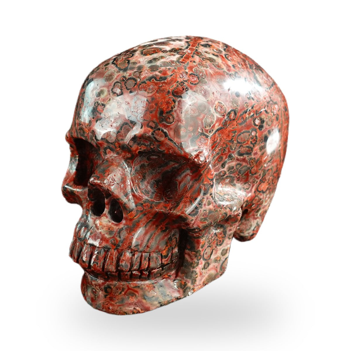 Red Leopard Skin Jasper crystal skull 3" SKH30LS06 photo 8