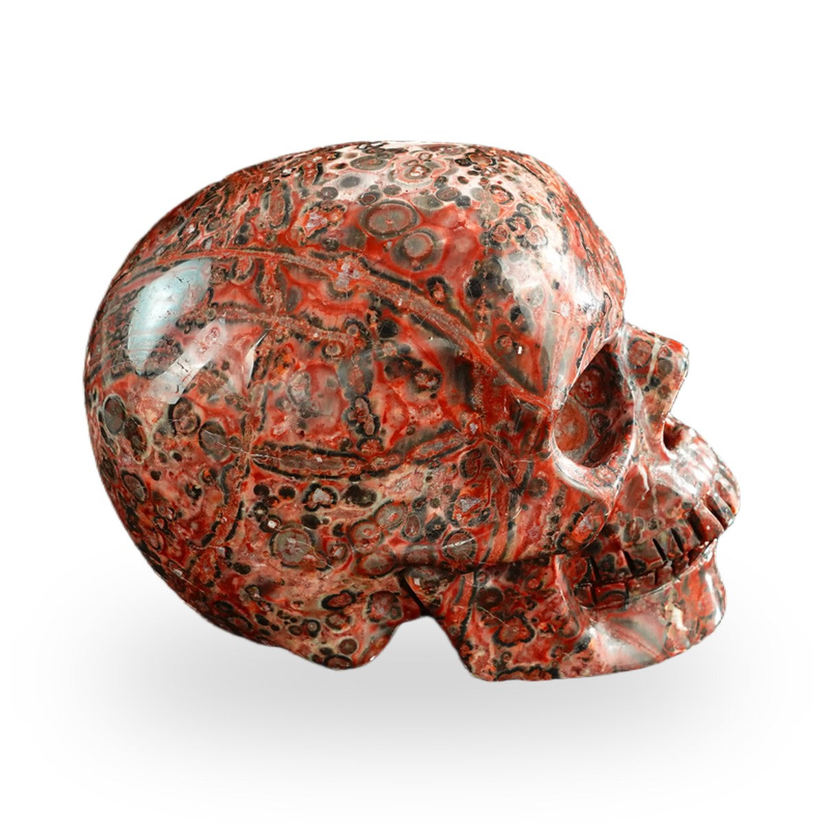 Red Leopard Skin Jasper crystal skull 3" SKH30LS07 photo 5