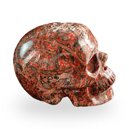 Red Leopard Skin Jasper crystal skull 3" SKH30LS07 photo 5