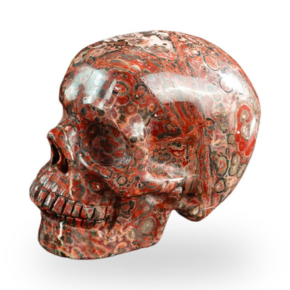 Red Leopard Skin Jasper crystal skull 3" SKH30LS07 photo 7