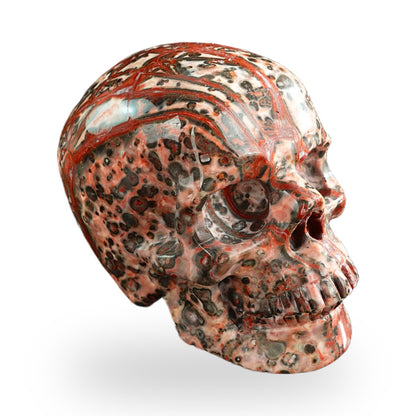 Red Leopard Skin Jasper crystal skull 3" SKH30LS08 photo 4
