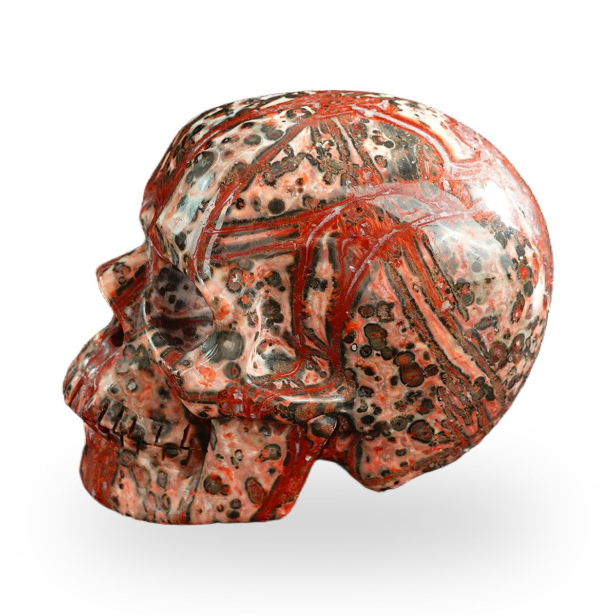 Red Leopard Skin Jasper crystal skull 3" SKH30LS08 photo 7