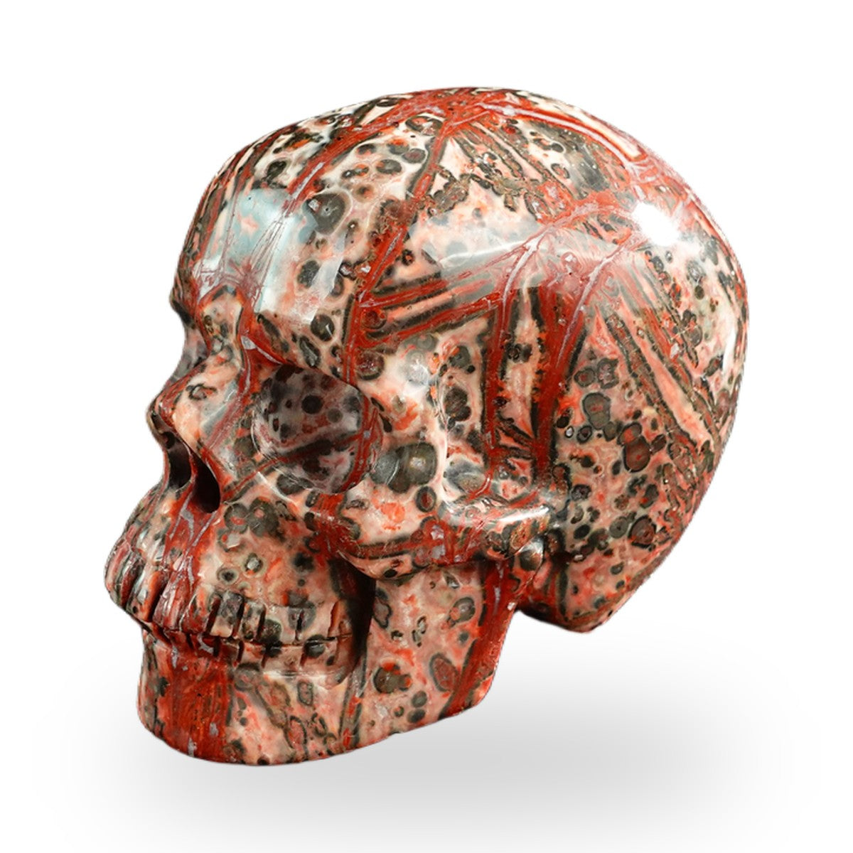 Red Leopard Skin Jasper crystal skull 3" SKH30LS08 photo 8