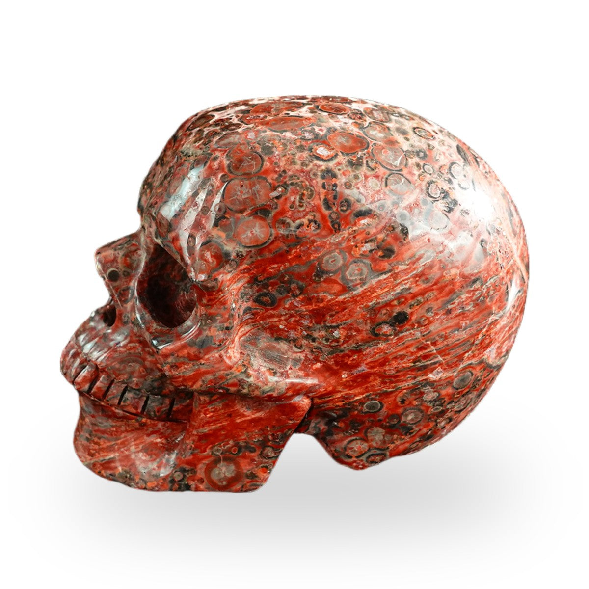 Red Leopard Skin Jasper crystal skull 3" SKH30LS09 photo 6