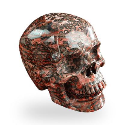 Red Leopard Skin Jasper crystal skull 3" SKH30LS10 photo 3