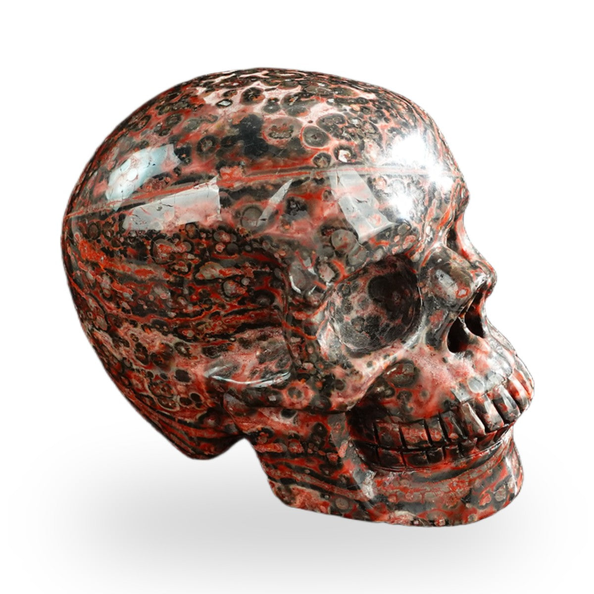 Red Leopard Skin Jasper crystal skull 3" SKH30LS10 photo 4