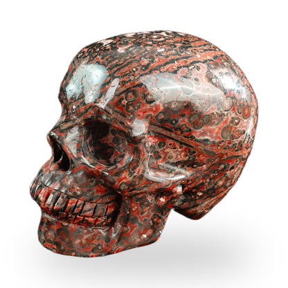 Red Leopard Skin Jasper crystal skull 3" SKH30LS10 photo 7