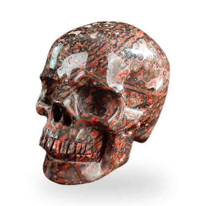 Red Leopard Skin Jasper crystal skull 3" SKH30LS10 photo 8