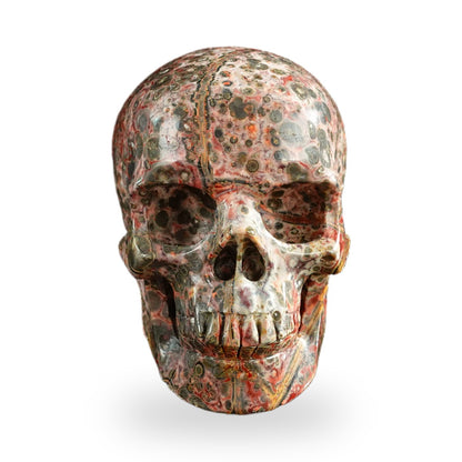 Red Leopard Skin Jasper crystal skull 3" SKH30LS11 photo 1