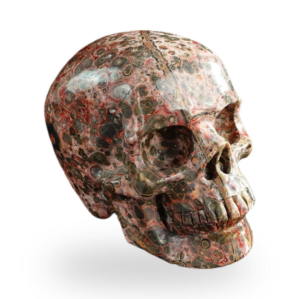 Red Leopard Skin Jasper crystal skull 3" SKH30LS11 photo 4