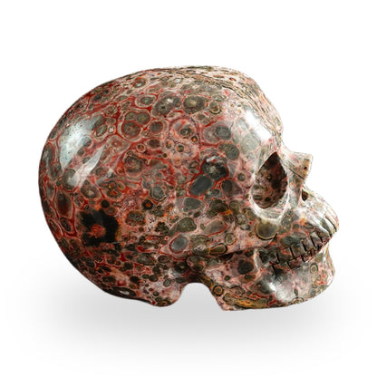 Red Leopard Skin Jasper crystal skull 3" SKH30LS11 photo 5