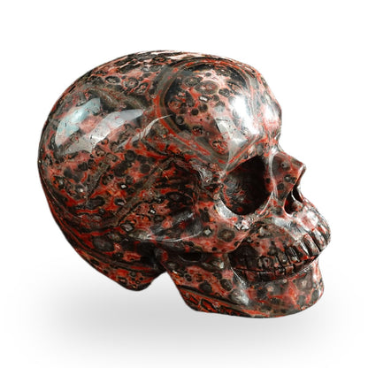 Red Leopard Skin Jasper crystal skull 3" SKH30LS12 photo 5
