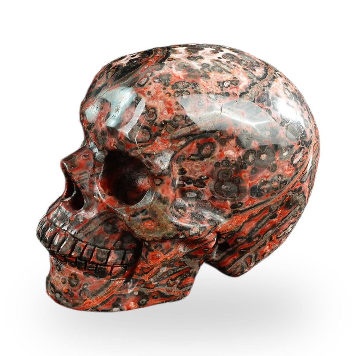 Red Leopard Skin Jasper crystal skull 3" SKH30LS12 photo 7