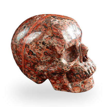 Red Leopard Skin Jasper crystal skull 3" SKH30LS13 photo 5
