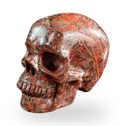 Red Leopard Skin Jasper crystal skull 3" SKH30LS13 photo 8