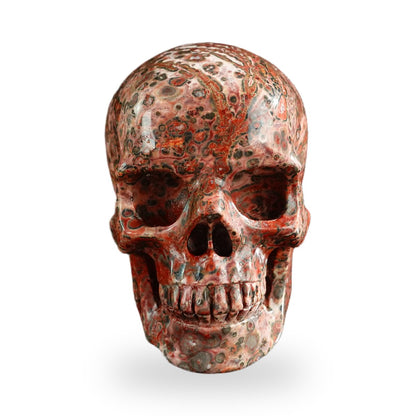 Red Leopard Skin Jasper crystal skull 3" SKH30LS14 photo 1